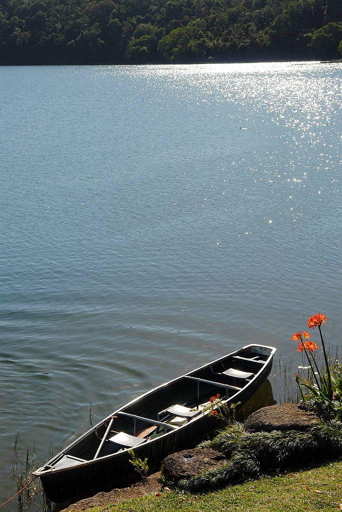 0489 Lake Barrine.jpg